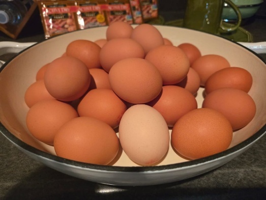 Fresh ingredients laid out before preparation