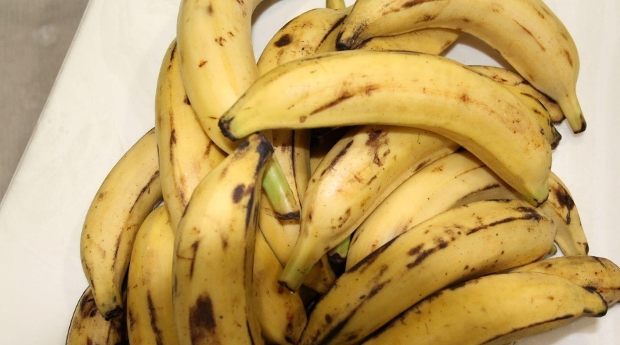 Raw plantains before being prepared as Allocco