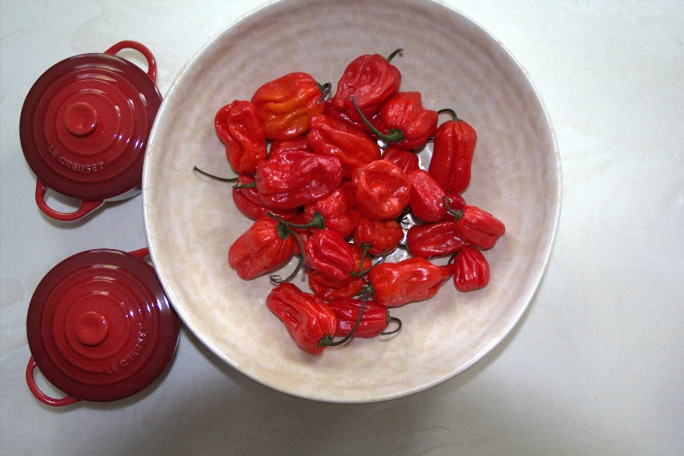 Fresh red peppers before being made into pepper sauce